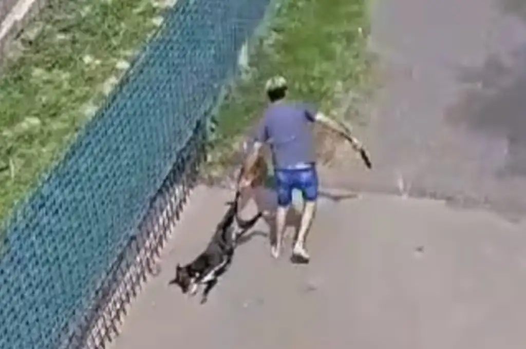 El tema tomó estado público debido al cruel video viralizado en las redes