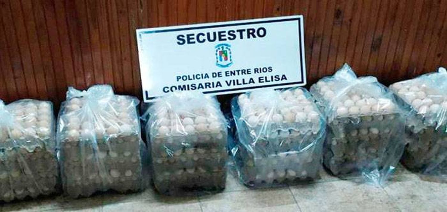 Empleado robó huevos por $ 100.000 de una granja avícola