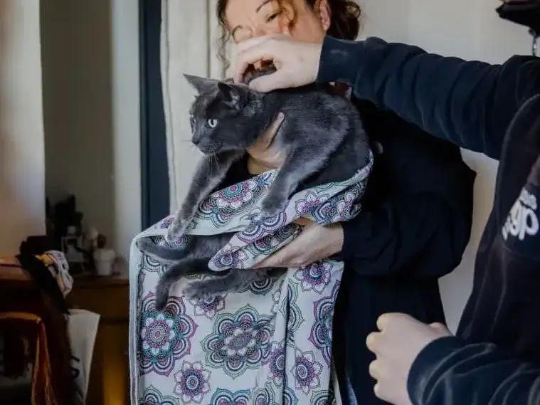 "Tinto" es un gato sociable y de carácter dócil que frecuentaba una garita de la zona.
