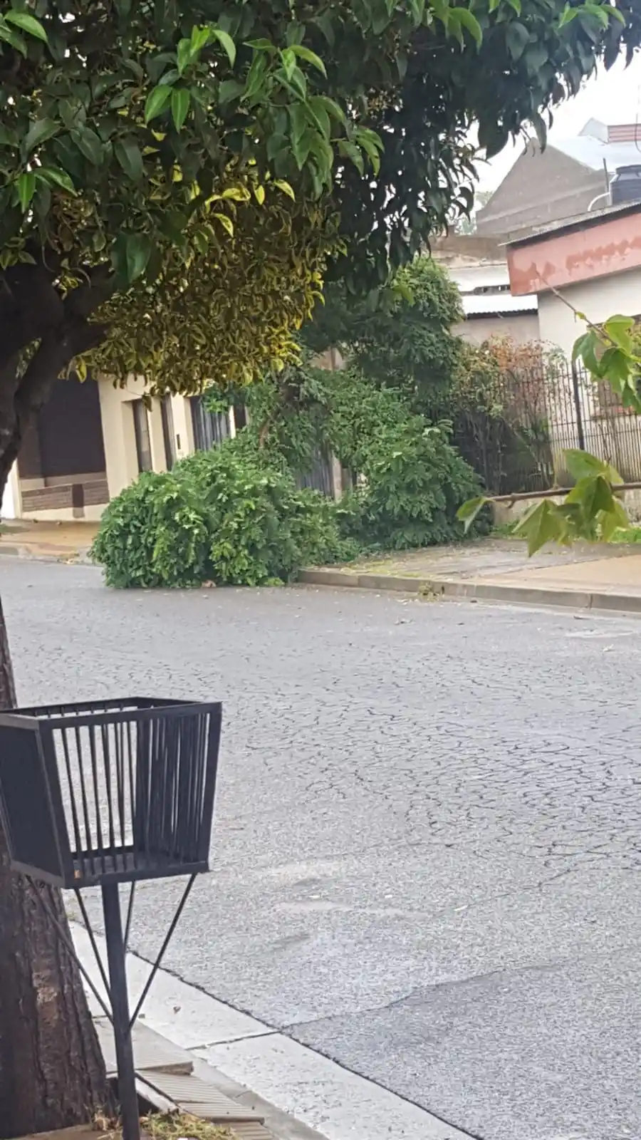 Pese a los alertas por vientos, el tiempo no generó problemas en Tandil y en Gardey bajó el agua