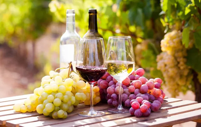 La industria del vino continúa creciendo en el pais