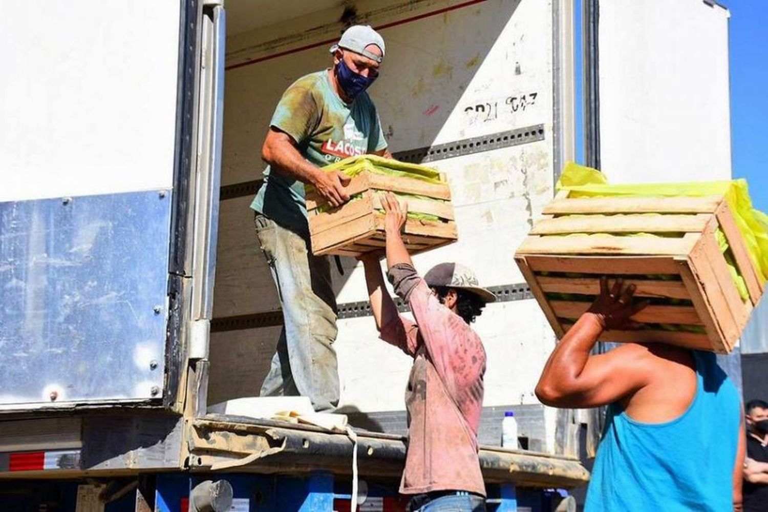 Productores paipperos concretaron el envío del primer cargamento de bananas a Río Negro