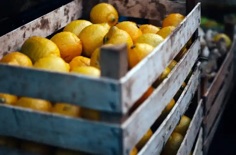 Darán una capacitación gratuita para PyMes alimentarias