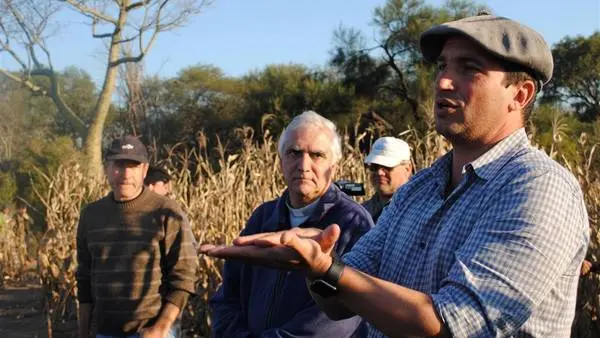 La prohibición de Europa al glifosato podría trabar ventas de granos argentinos