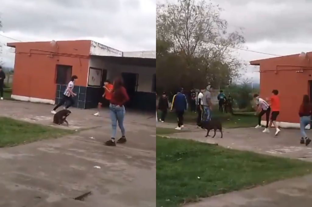 Pelea entre alumnos de una escuela de Acheral