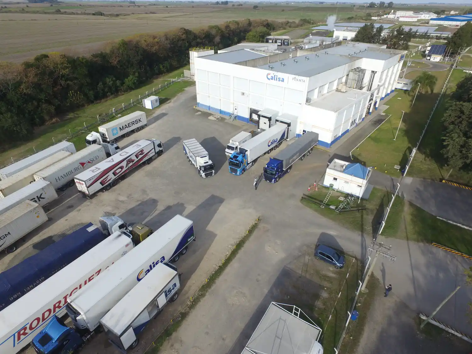 CALISA se afianza en la exportación