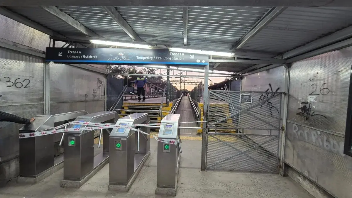 El episodio provocó la interrupción total del servicio ferroviario. Foto: Diario Sur