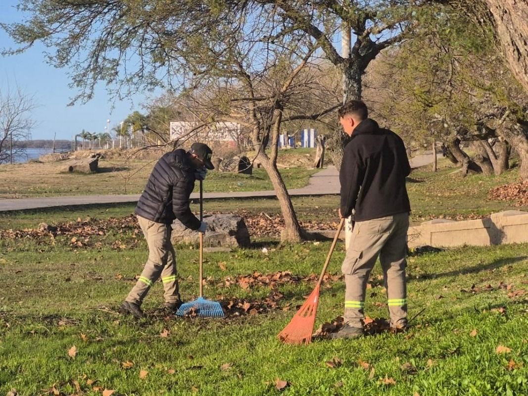 Trabajan en un mantenimiento integral de la Costanera Sur