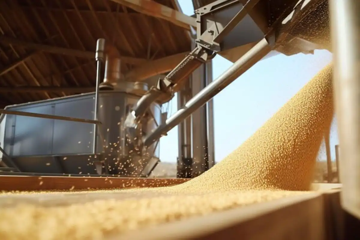 COFCO Internacional Argentina, abre el año exportando 18.000 toneladas de soja libre de deforestación al fabricante de alimentos para animales más grande de Irlanda.