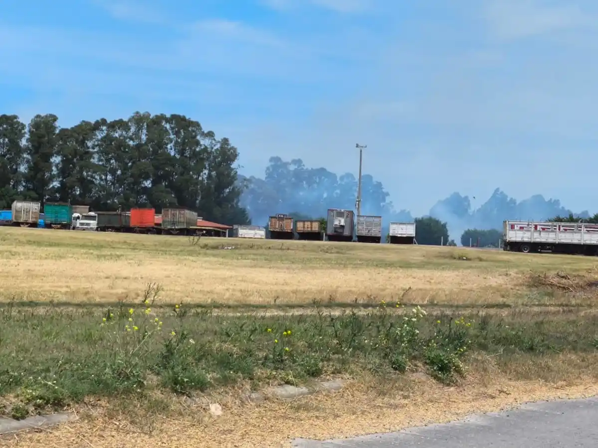 Incendio predio cercano a Las Acacias