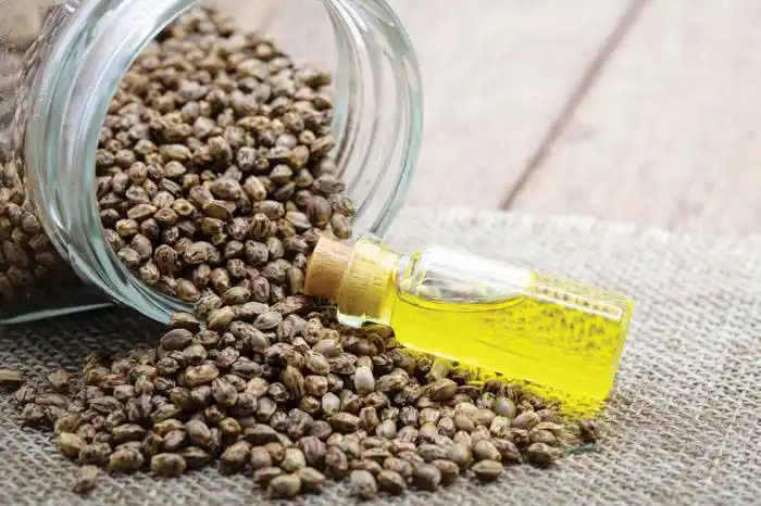 Capacitación de Salto Grande que apunta al desarrollo  productivo de la región  con más de 1.200 inscriptos