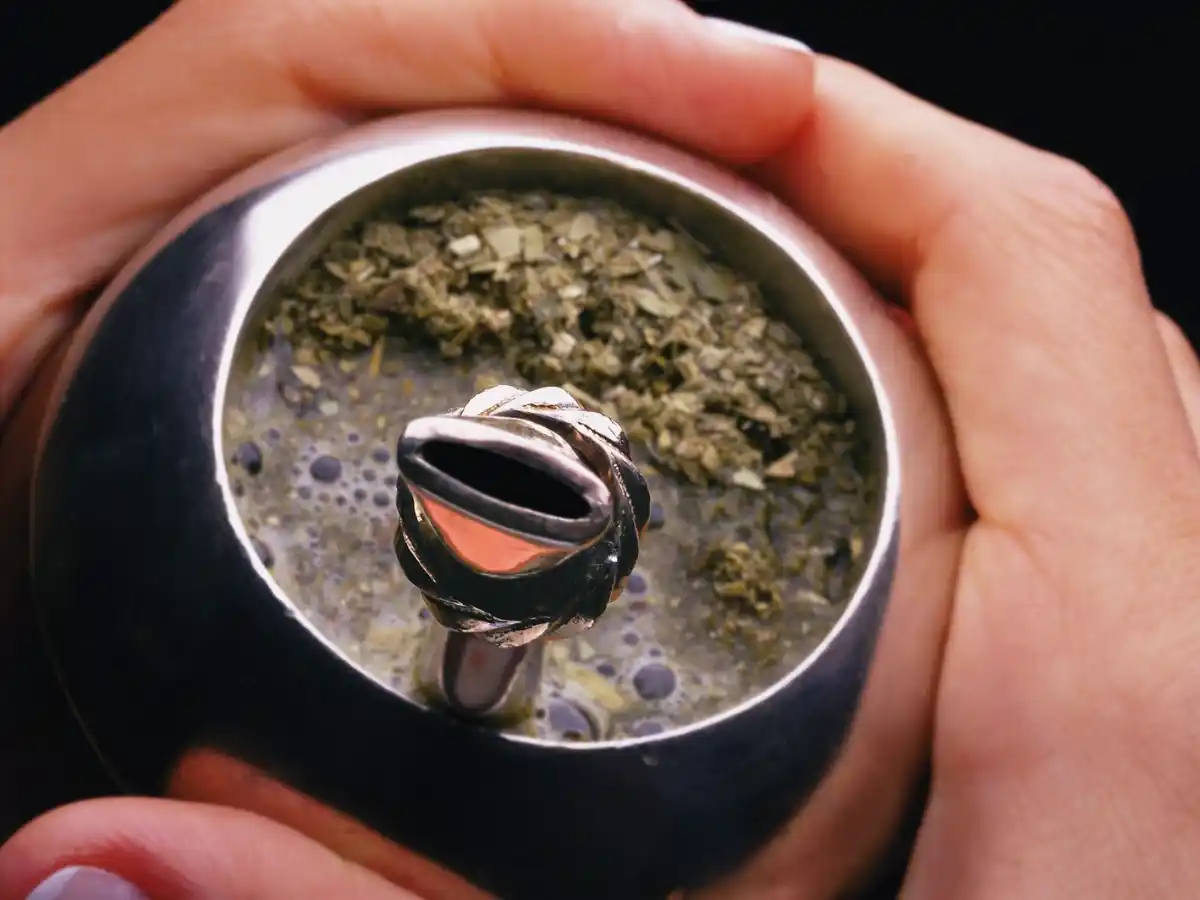 Existen más de 50 variedades de yerba mate en el país 
