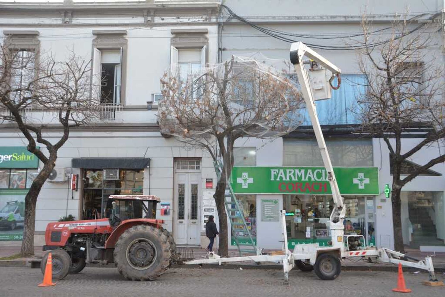 Un árbol del centro amaneció con red para controlar la presencia de aves