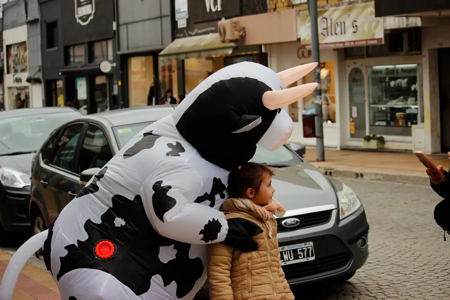vaca en Tandil - 2