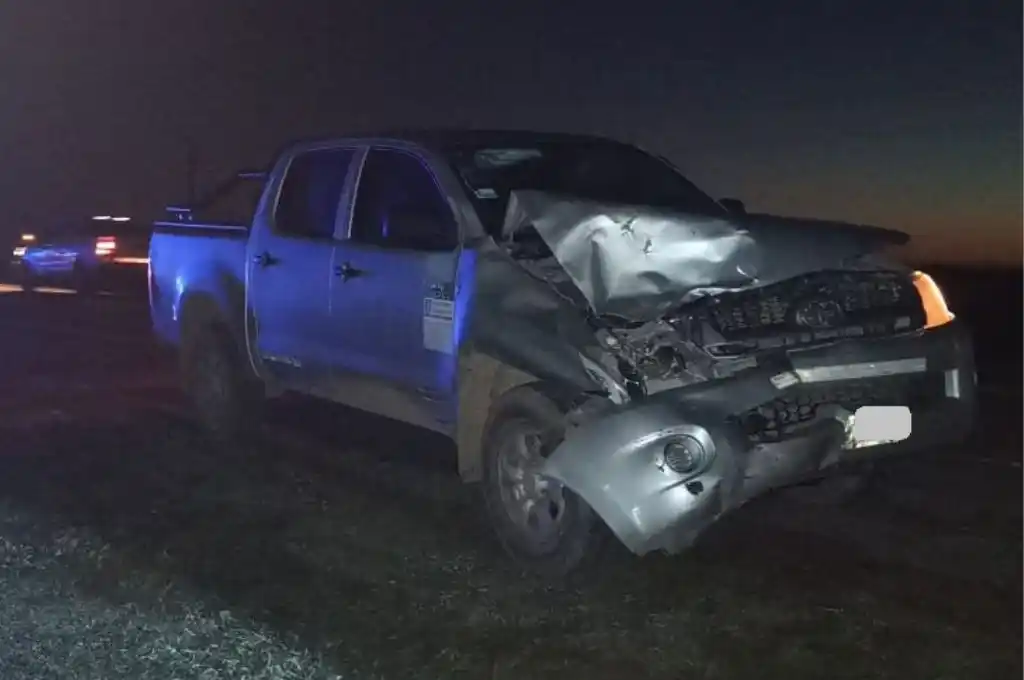Dos vehículos chocaron contra caballos sueltos en la Ruta 12
