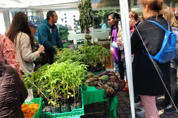 Rosario: Más de 700 ferias de emprendedores