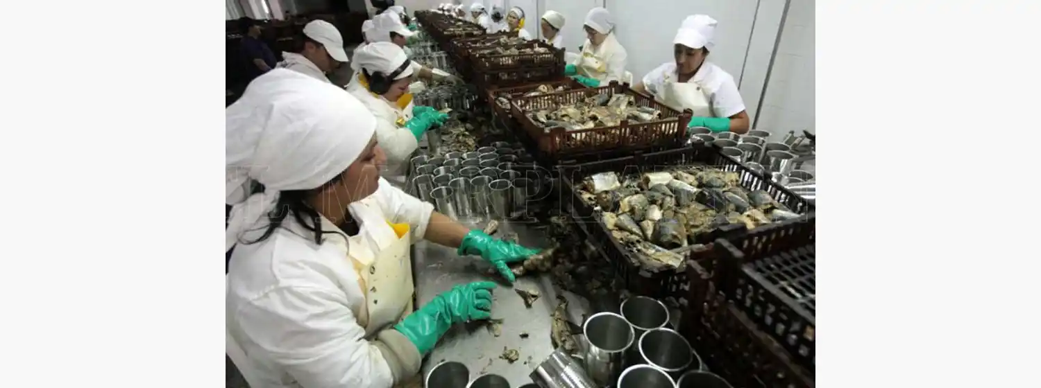 La actividad económica cayó 7,5% en noviembre, la peor baja en 9 años