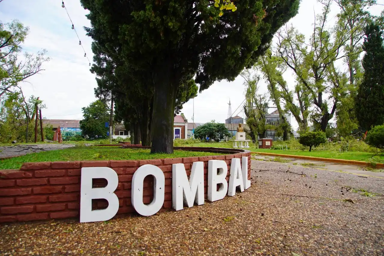 Los fuertes vientos destruyeron árboles en toda la localidad. Foto: Fernando Nicola.