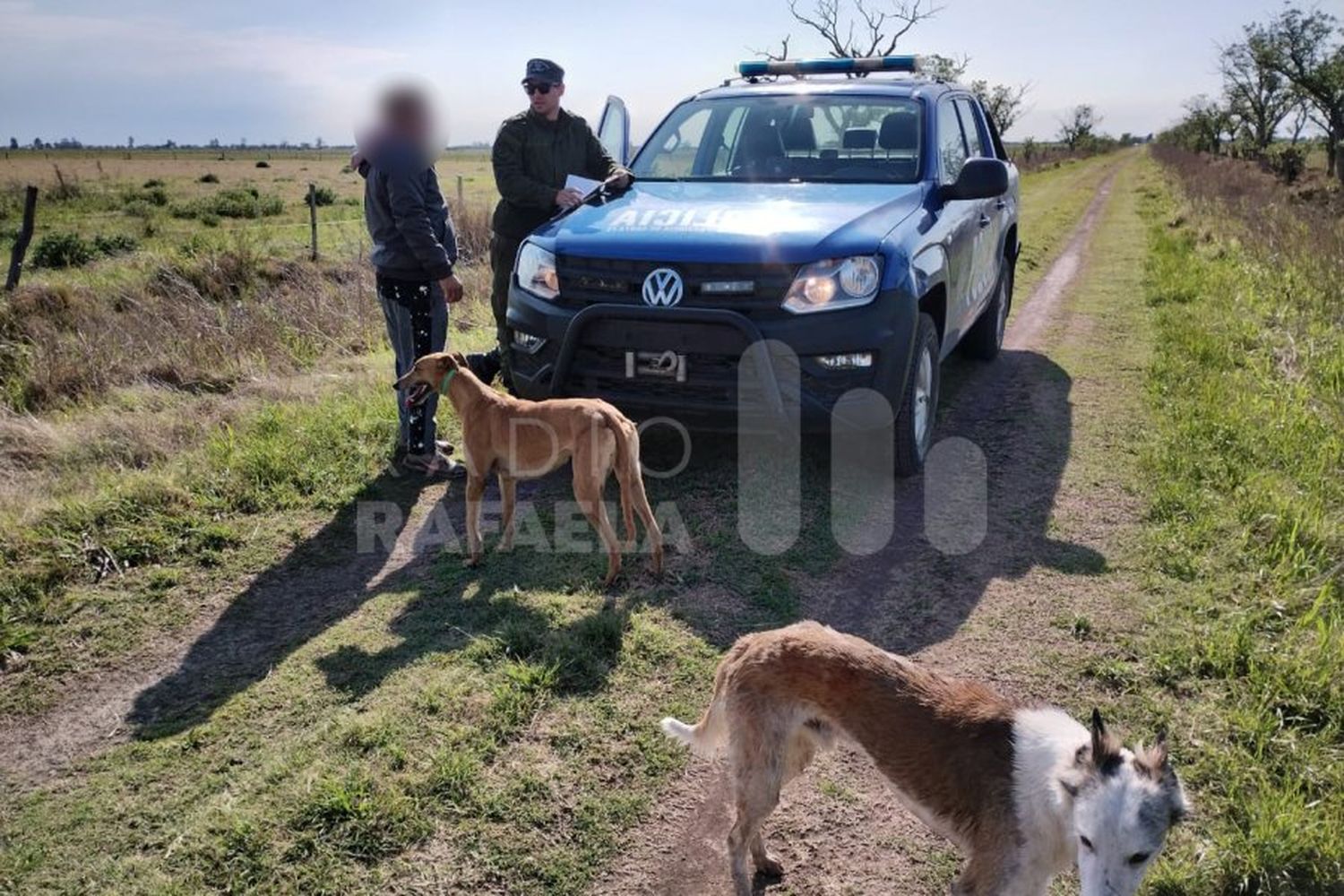 Con galgos, los encontraron cazando violando la legislación vigente