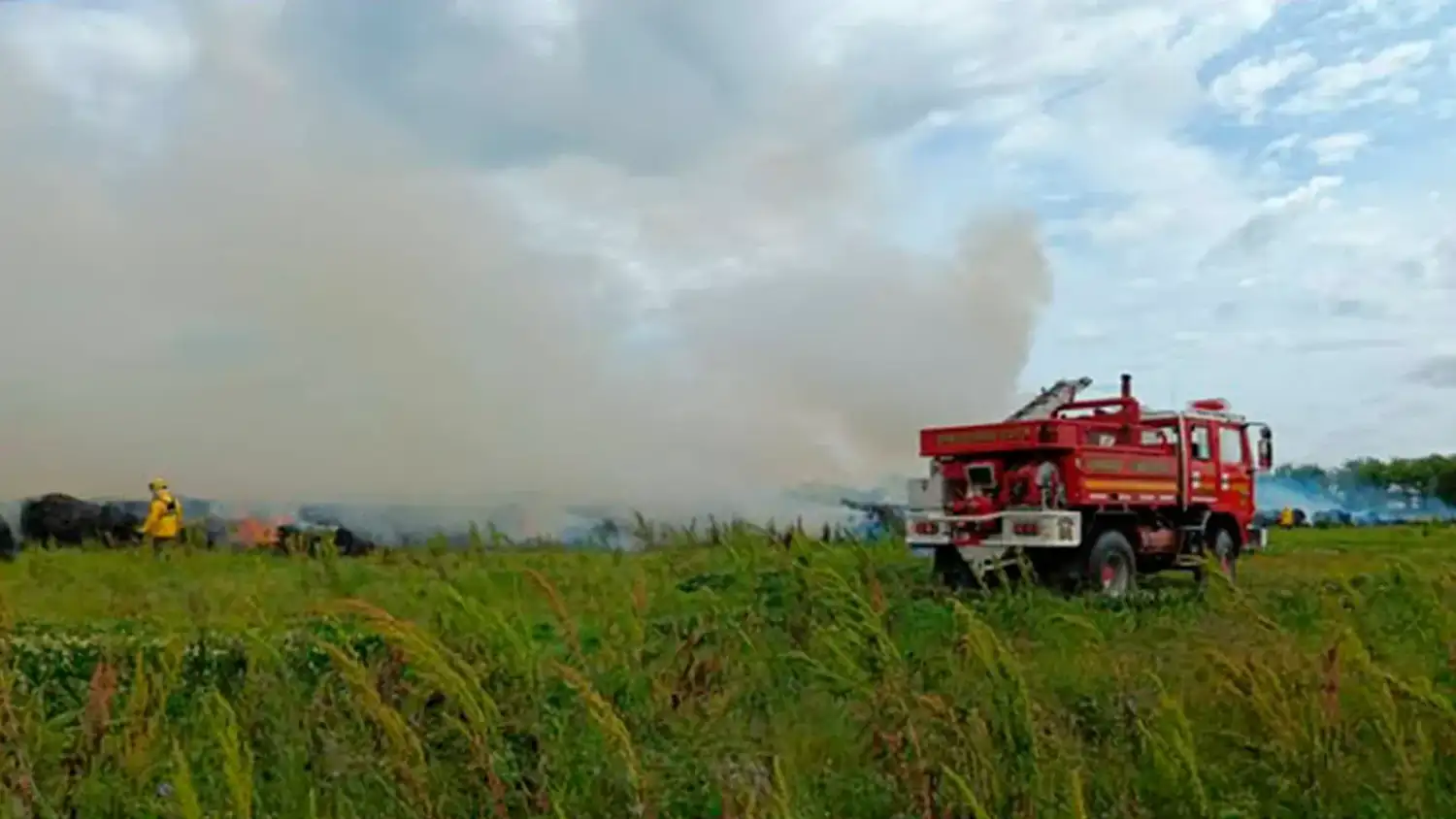 Un incendio forestal movilizó a Bomberos Voluntarios durante casi tres horas - 1