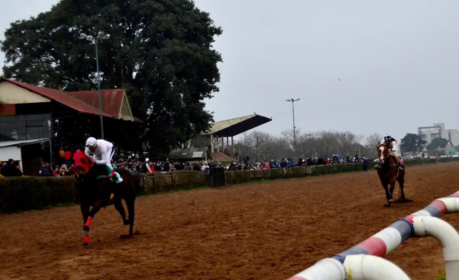 Don Pepe ganó con solvencia el Premio "Carlos López"