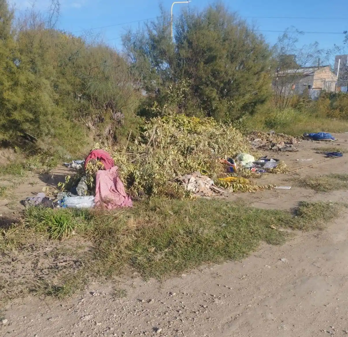Reclamo por acumulación de basura en Bernardo de Irigoyen y Lisandro de la Torre