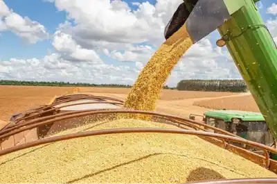 Se demora la publicación en el Boletín Oficial de la baja de retenciones