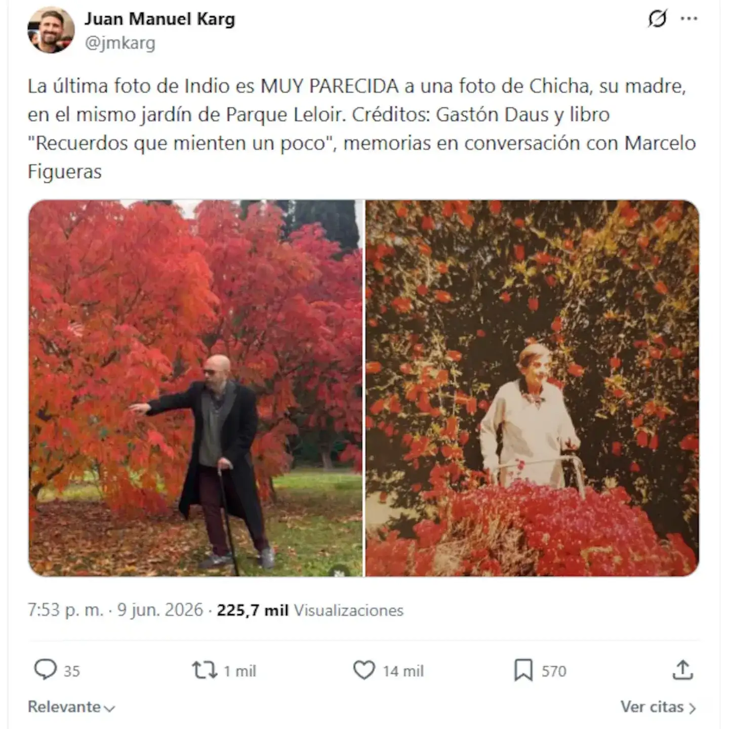 Indio Solari - 3