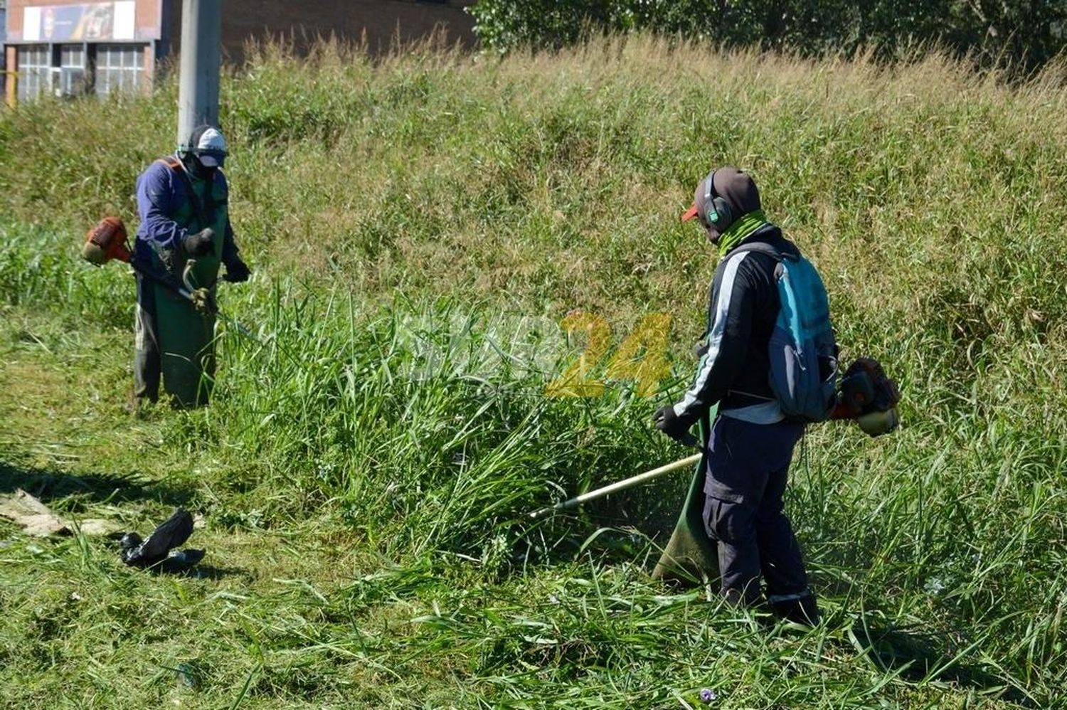 Cuadrillas municipales colaboraron con el desmalezado de banquinas en ruta 8