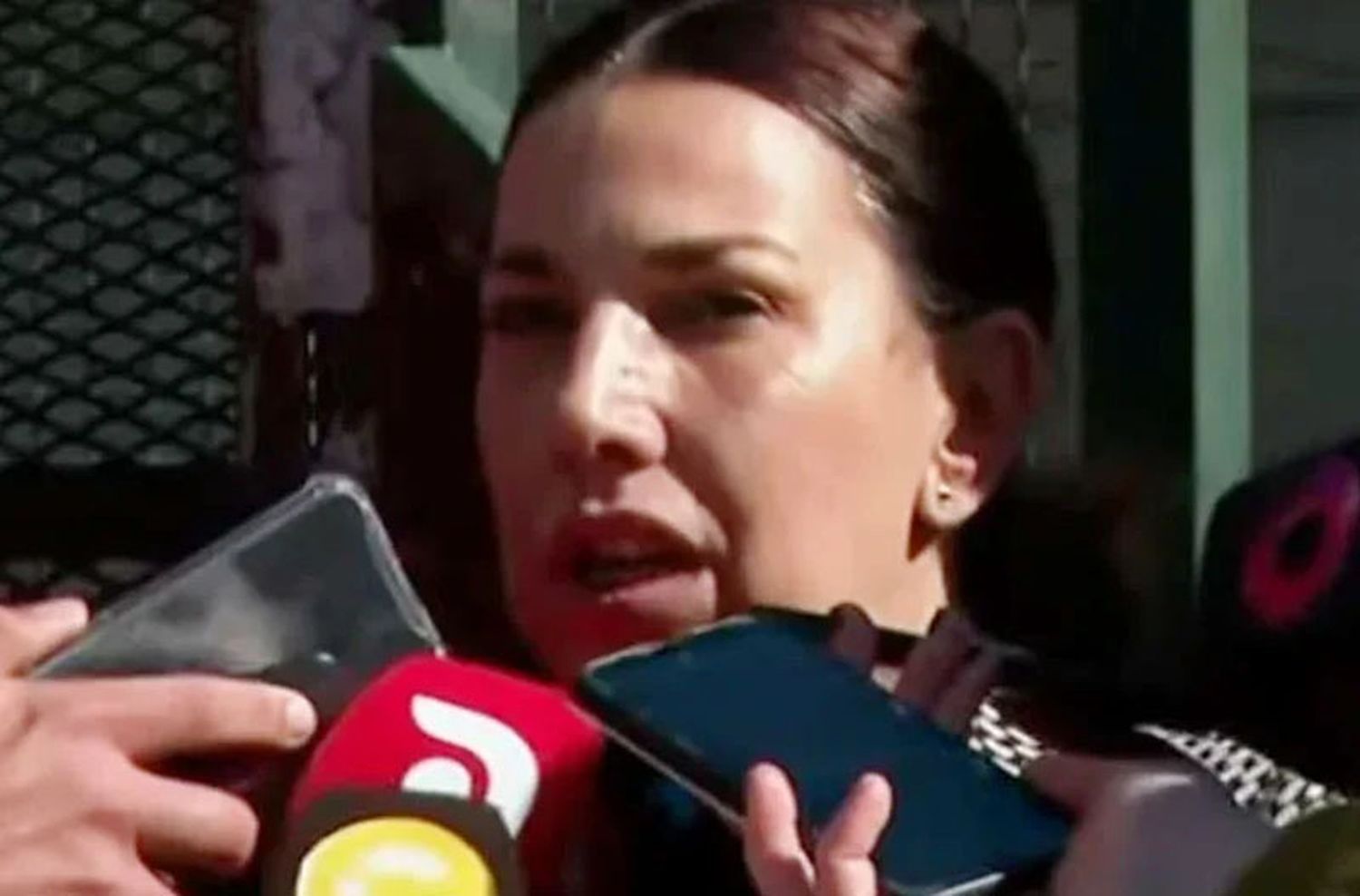 Silvina Carreira, abogada de Alberto Fernández, asegura que “la audiencia no es válida”