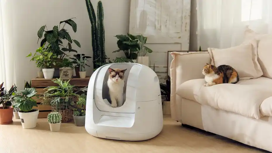 Inventaron un “inodoro inteligente para gatos” controlado por celular