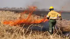 Entre Ríos continúa con focos activos de incendios