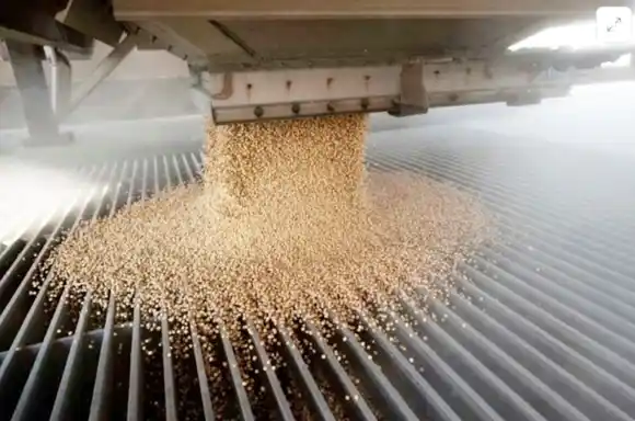 Lideradas por la soja, crecieron 6% las exportaciones agroindustriales