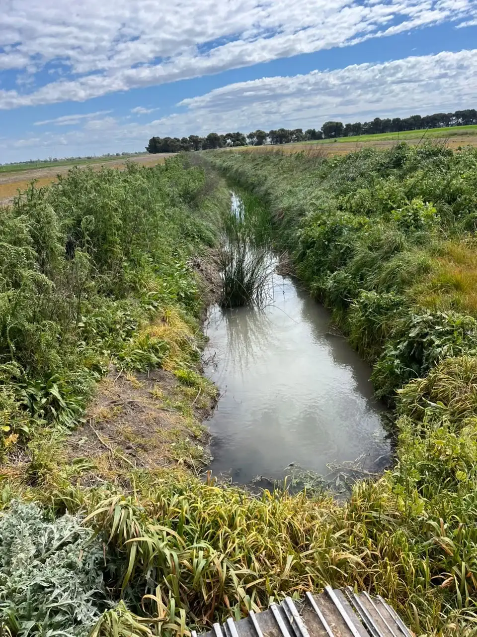 agua - 2