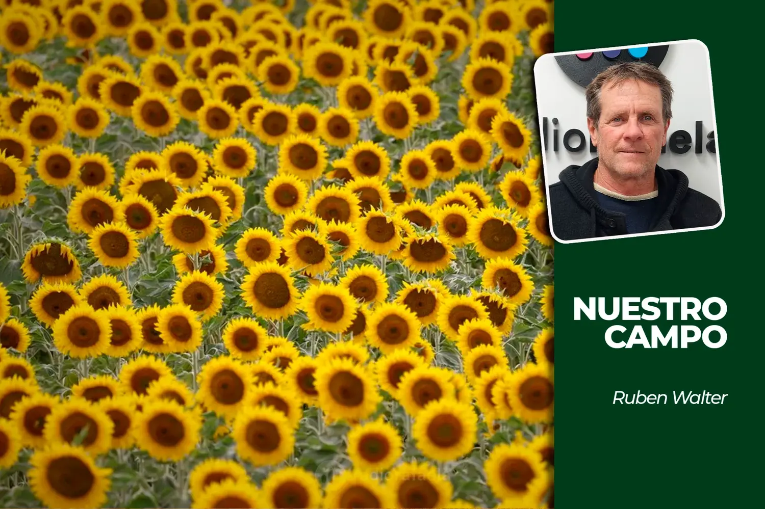 Comenzó la siembra de girasol y se puso en marcha la campaña gruesa 2026/27 en el centro-norte santafesino
