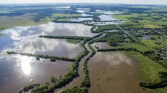 Por las inundaciones, Provincia exime del Impuesto Rural a campos de 19 distritos bonaerenses: cómo acceder al beneficio