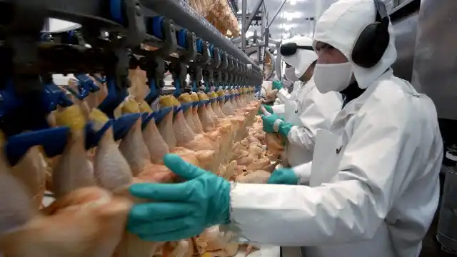 Paritarias 2021: Trabajadores avícolas recibirán un 41,6% de aumento