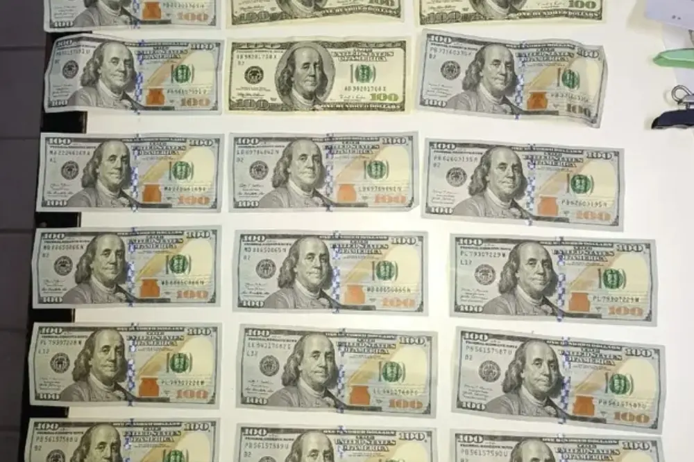 Detuvieron a una empleada doméstica acusada de robar más de 2.000 dólares en Funes