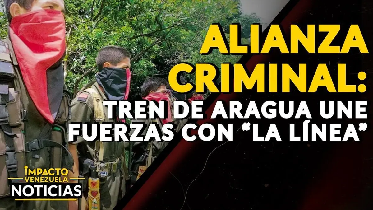 ALIANZA CRIMINAL: Tren de Aragua une fuerzas con “La Línea” – VIDEO IMPACTO VENEZUELA