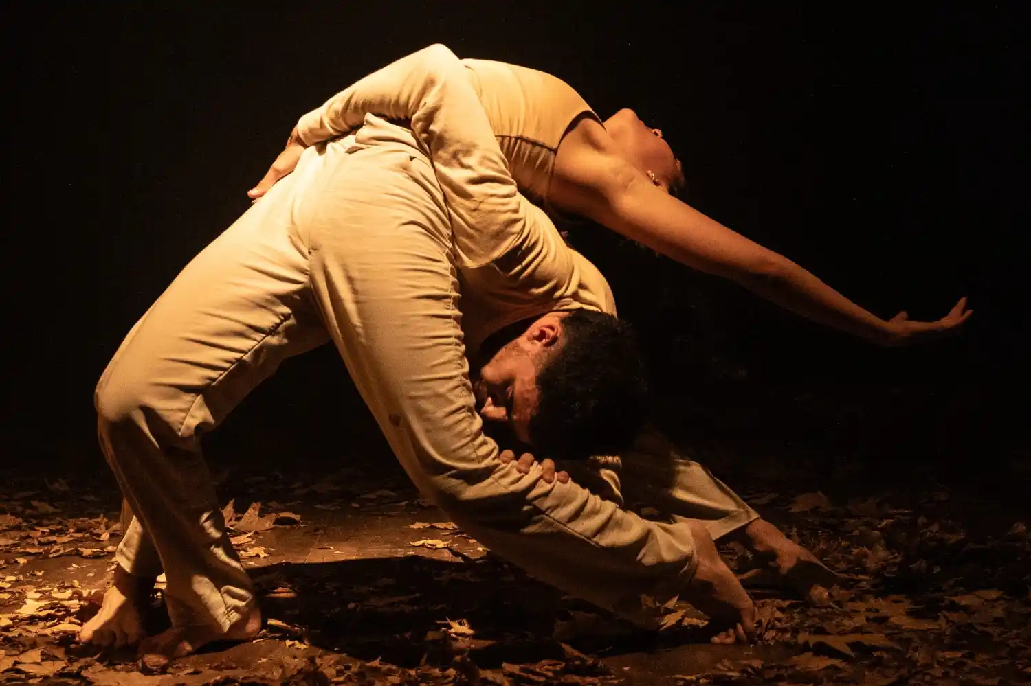 Día mundial de la danza