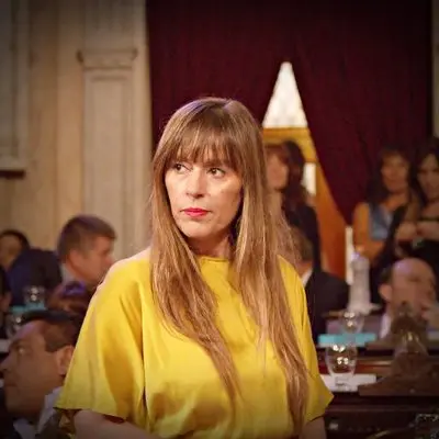 Di Tullio: "Media sanción a favor de la vida, la salud integral y la autonomía de las mujeres"