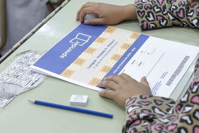 Solo 14,2% de los estudiantes alcanzan un nivel satisfactorio en Matemática