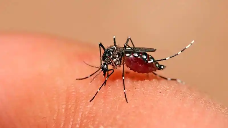 Confirman un nuevo caso de dengue en Entre Ríos
