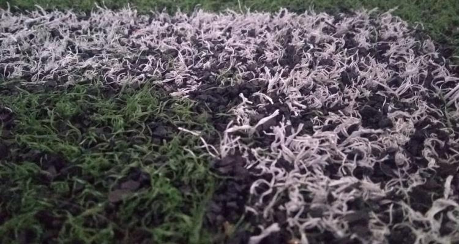 #Cuarentena Propietarios de canchas de fútbol 5 elaboraron y presentaron un protocolo para poder reabrir