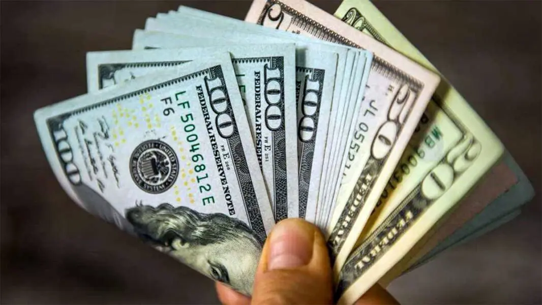 El dólar blue tuvo un fuerte retroceso y el Central volvió a comprar