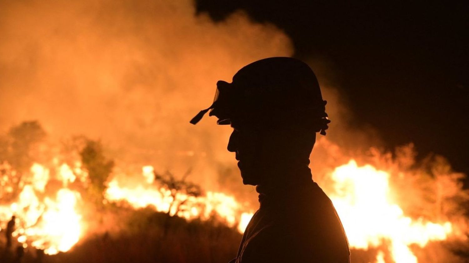 El reclamo por los incendios intencionales en Santa Fe y Entre Ríos llega a los portales de Rusia