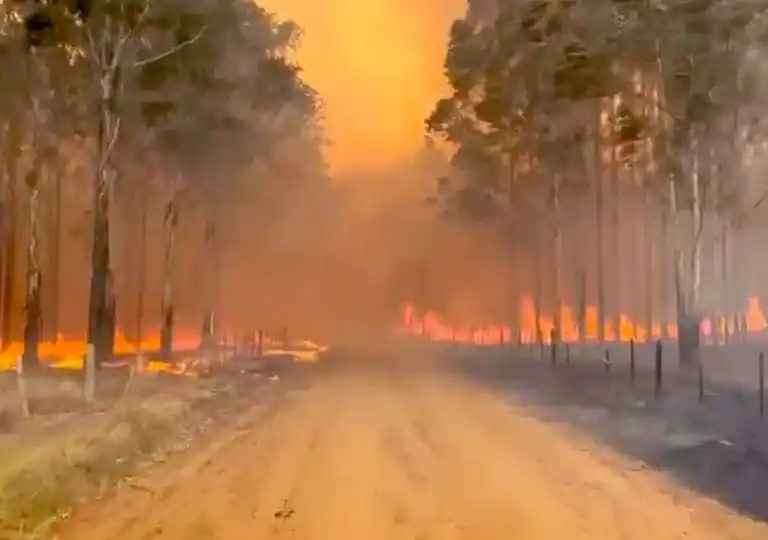 Con distintas perspectivas, dos tandilenses reflejaron cómo viven los incendios en Corrientes desde adentro