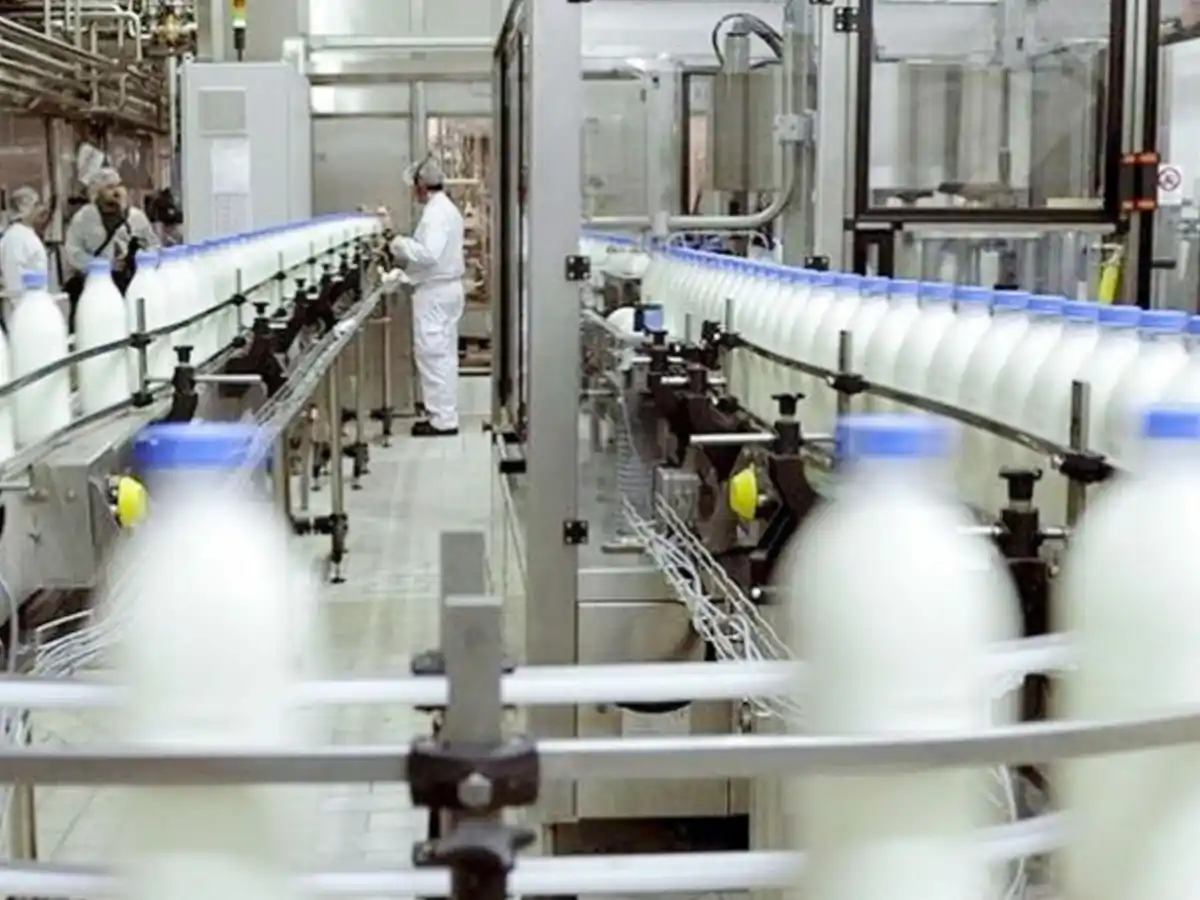 Desde la industria lechera afirman que bajó el consumo en mayo