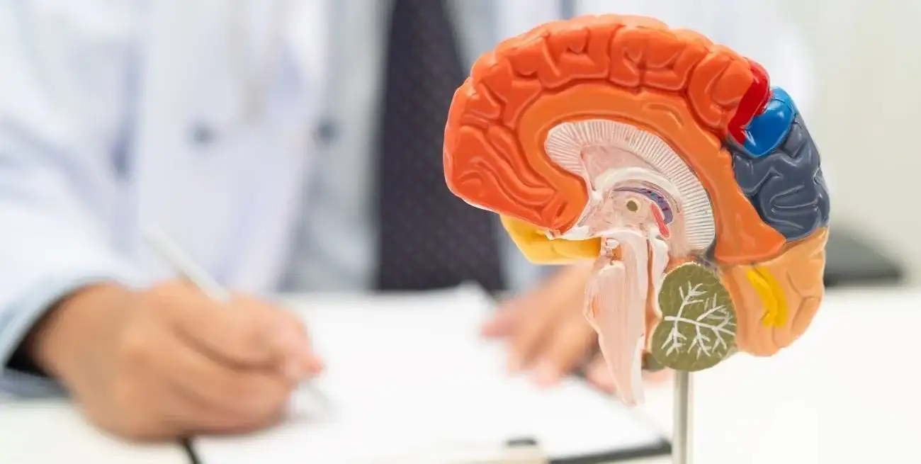 La norma crea un programa que procura detectar los Accidentes Cerebro Vasculares a tiempo