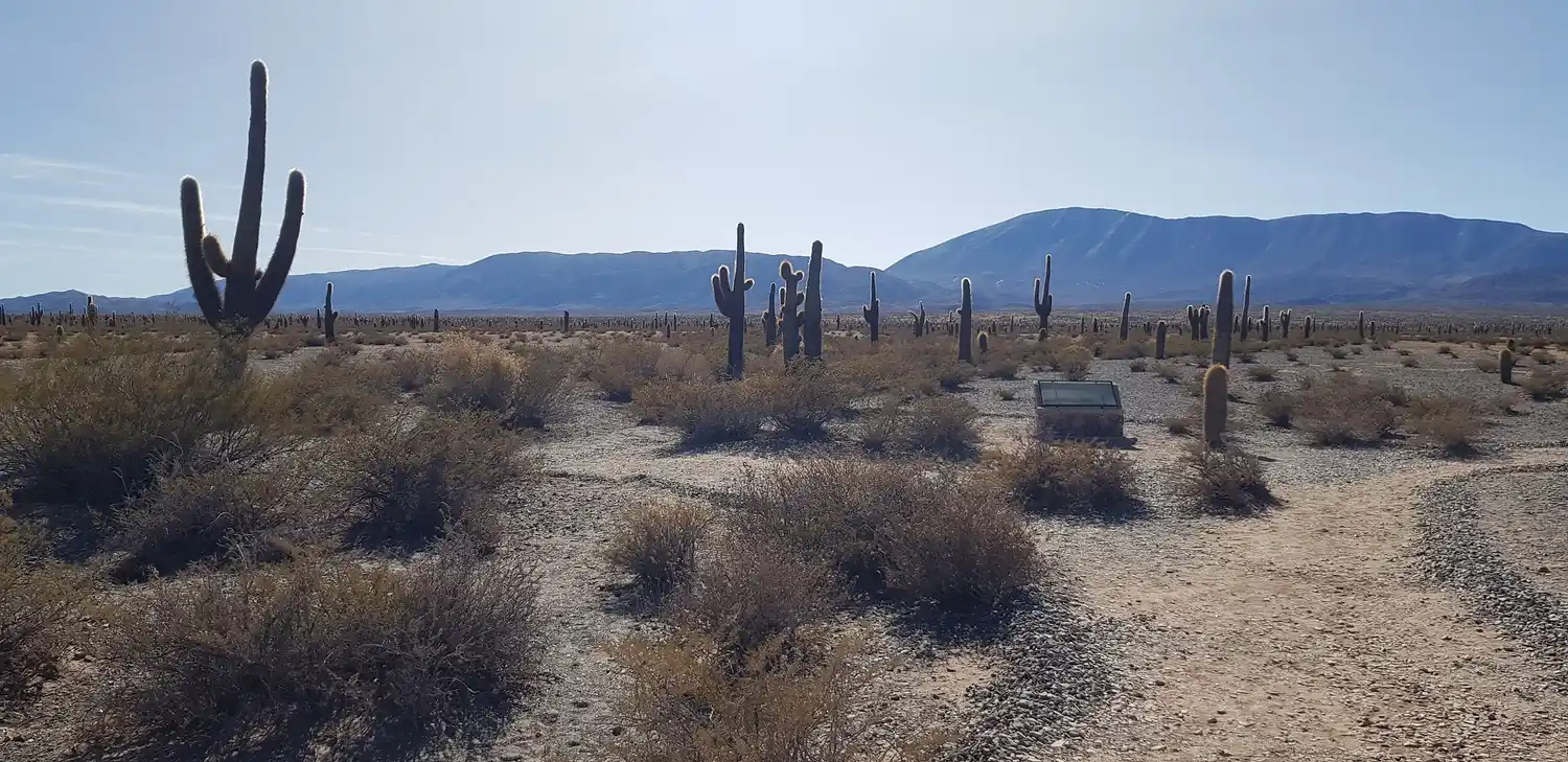 Foto: LaNoticia1.com.